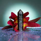 This Is Your Breakthrough – Rare Arfvedsonite Point